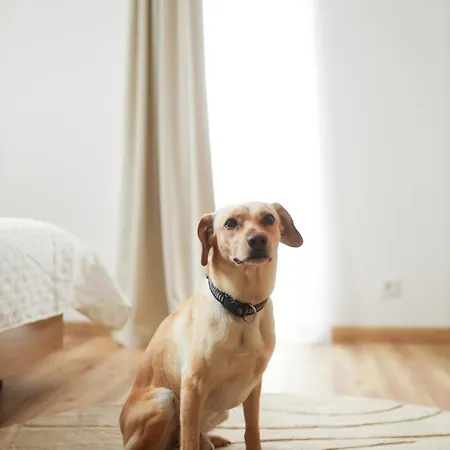 Male Lipno 1055 Lejlighed Černá v Pošumaví